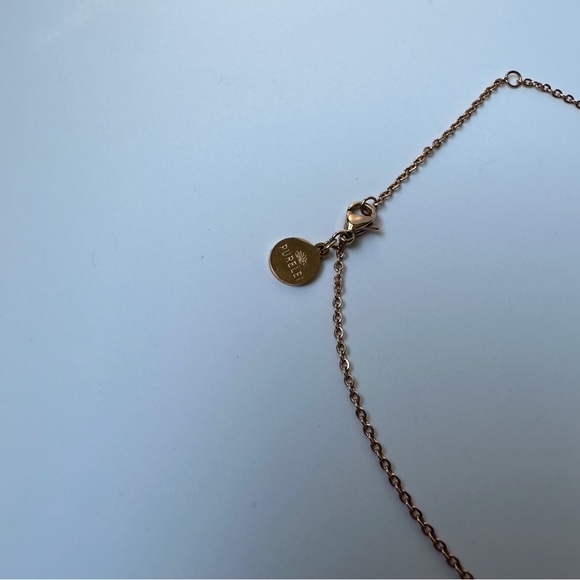 Purelei Kalea Rose Gold Necklace - Picture 4 of 12